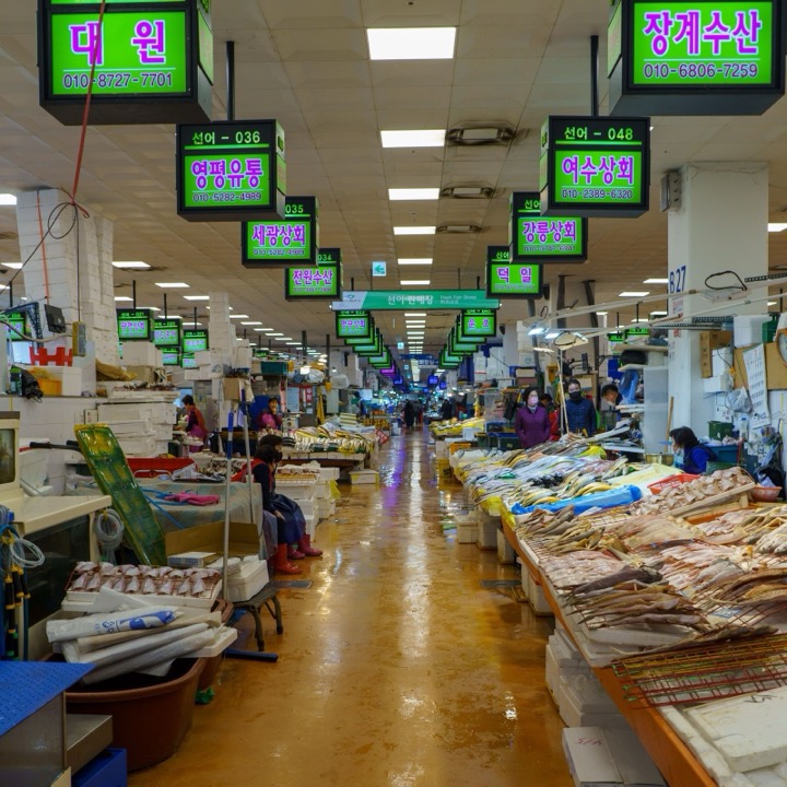A long aisle of a fish market under green signs