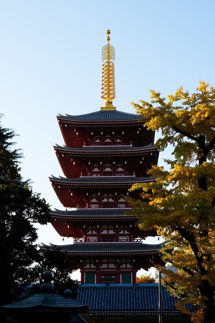 The five-story pagoda at Senso-ji framed by autumn leaves