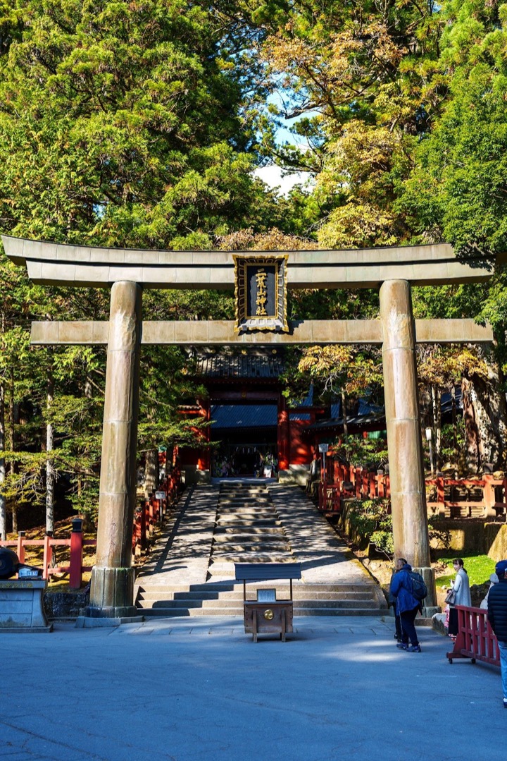 A stone torii at the foot of a staircase into a forest
