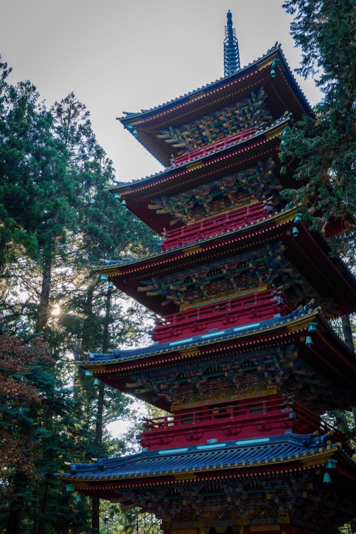A five-story pagoda among tall cedars