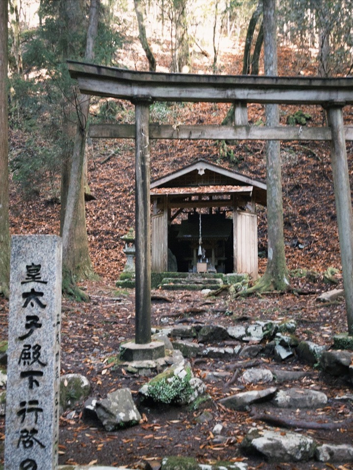 A small shrine behind a stone torii in the forest